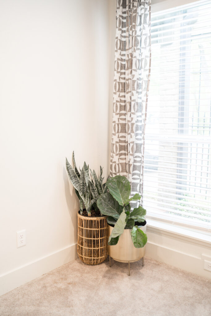 Two plants in the corner of a living room next to a large window